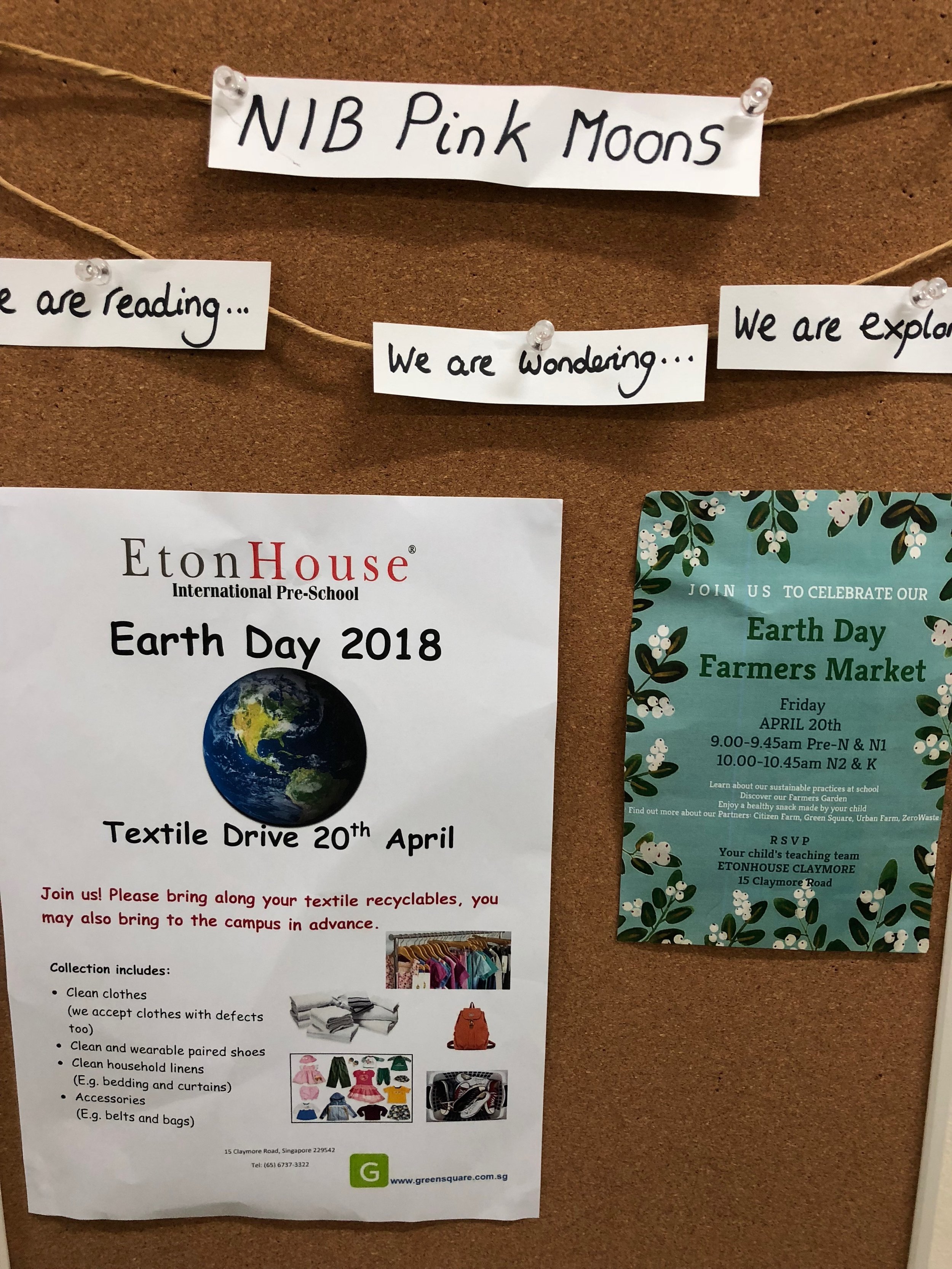 Our Way of Celebrating Earth Day